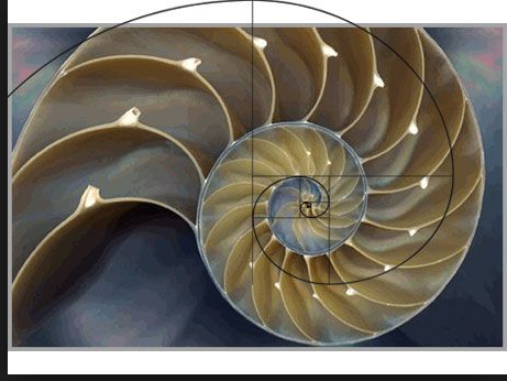 Black Panther Books & Courses